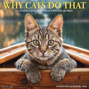 Why Cats Do That ᤯ꥫ Willowcreek