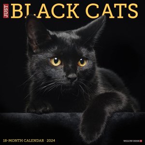 JUST Black cats ǭ  Willowcreek