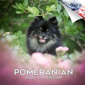 <img class='new_mark_img1' src='https://img.shop-pro.jp/img/new/icons25.gif' style='border:none;display:inline;margin:0px;padding:0px;width:auto;' />MEGAݥ˥ pomeranian