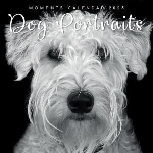 Dog Portraits ᤯ꥫ