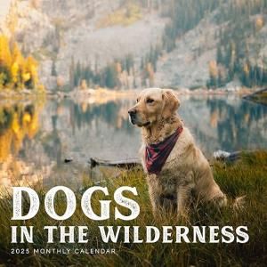 Dogs in the Wilderness ᤯ꥫ