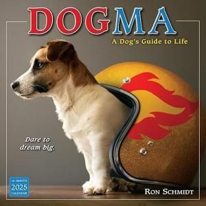 Dogma ᤯ꥫ