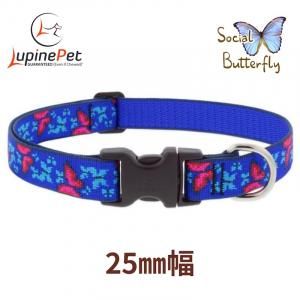 Хե饤25mmLupine Social Butterfly