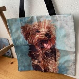 ڥͥȡȥХåڥ衼ۥ衼㡼ƥꥢ