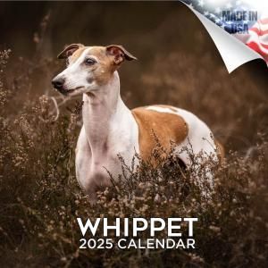 Mega ڥå Whippet 
