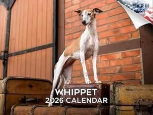 Mega ڥå Whippet 