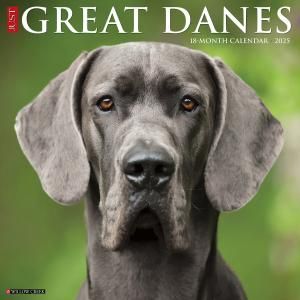 WillowCreek졼ȥǡ Just Great Dane