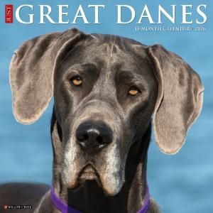 WillowCreek졼ȥǡ Just Great Dane