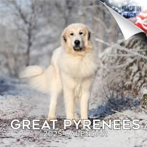 MEGA졼ȥԥˡ Great Pyrenees