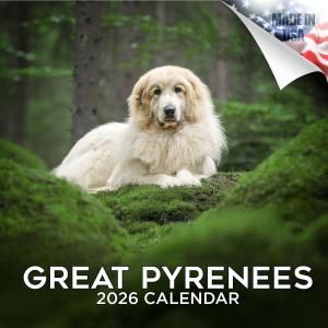 MEGA졼ȥԥˡ Great Pyrenees
