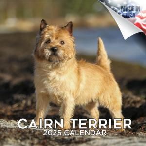 MEGA ƥꥢ Cairn Terrier