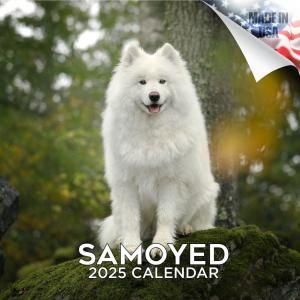MEGA⥨ samoyed
