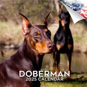 MEGAɡ٥ޥ  Doberman