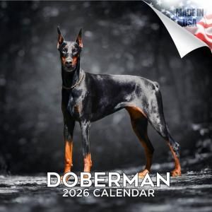 MEGAɡ٥ޥ  Doberman