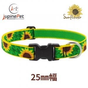 <img class='new_mark_img1' src='https://img.shop-pro.jp/img/new/icons15.gif' style='border:none;display:inline;margin:0px;padding:0px;width:auto;' />ե25mmLupine Sunflower