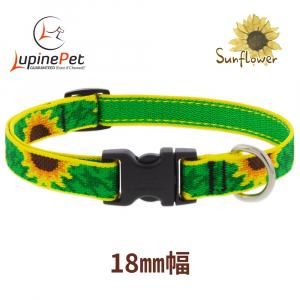 <img class='new_mark_img1' src='https://img.shop-pro.jp/img/new/icons15.gif' style='border:none;display:inline;margin:0px;padding:0px;width:auto;' />ե 18mm LUPINE sunflower