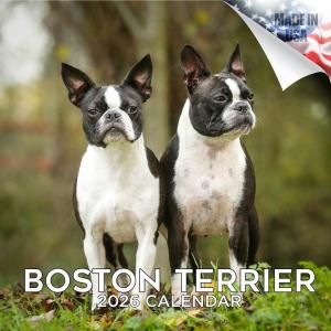 MEGAܥȥƥꥢ  boston terrier