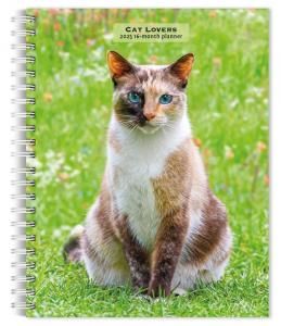 ᤯ꥹ塼ĢCat Lovers Browntrout