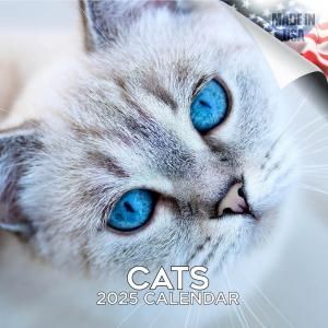 Mega Cat 