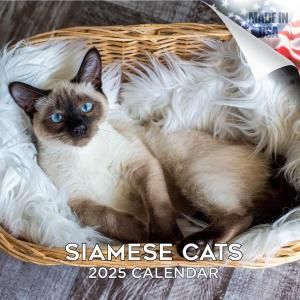 Mega Siamese Cat 