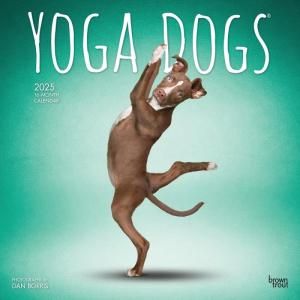 YOGA DOGS ᤯ꥫ