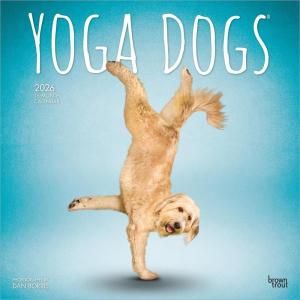 YOGA DOGS ᤯ꥫ