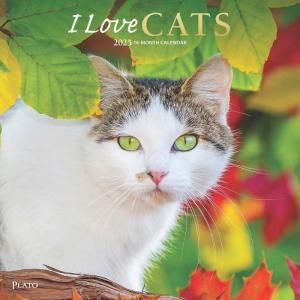 I Love Cats  Browntrout