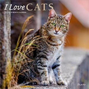 I Love Cats  Browntrout Plato