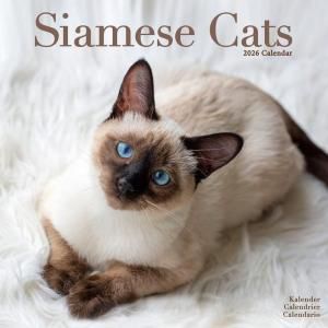Avonside Siamese Cats ǭ