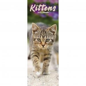 Avonside Kittens饤󥫥