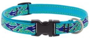 ɥե٥LUPINE 18mmdolphin bay