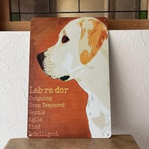 <img class='new_mark_img1' src='https://img.shop-pro.jp/img/new/icons15.gif' style='border:none;display:inline;margin:0px;padding:0px;width:auto;' />֥ꥭġ֡Labrador