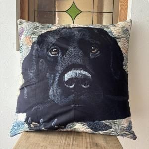 <img class='new_mark_img1' src='https://img.shop-pro.jp/img/new/icons15.gif' style='border:none;display:inline;margin:0px;padding:0px;width:auto;' />å󥫥С֥å֥ɡ롡45x45cmСΤ