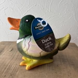 WillowCreek ジャーマンショートヘアードポインター - スマイルドッグ