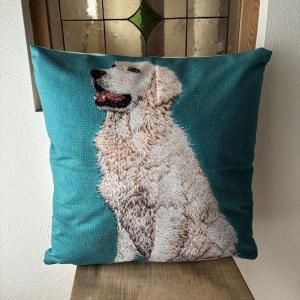 <img class='new_mark_img1' src='https://img.shop-pro.jp/img/new/icons15.gif' style='border:none;display:inline;margin:0px;padding:0px;width:auto;' />å󥫥СꥹϥǥȥС45x45cmСΤ