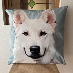 <img class='new_mark_img1' src='https://img.shop-pro.jp/img/new/icons15.gif' style='border:none;display:inline;margin:0px;padding:0px;width:auto;' />å󥫥Сۥ磻ȥѡɥɥåå45x45cmСΤ