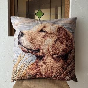 <img class='new_mark_img1' src='https://img.shop-pro.jp/img/new/icons15.gif' style='border:none;display:inline;margin:0px;padding:0px;width:auto;' />å󥫥Сǥȥ꡼СϤεᡡ45x45cmСΤ