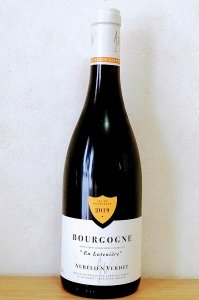 Bourgogne Rouge En Luteniere2019/Aurelien Verdet ブルゴーニュ・ルージュ アン・リュトゥニエール2019/オレリアン・ヴェルデ