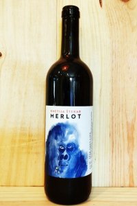 Merlot 2020/Kmetija Stekar  2020/ƥ䡦ƥå