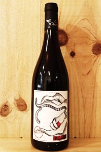 <img class='new_mark_img1' src='https://img.shop-pro.jp/img/new/icons14.gif' style='border:none;display:inline;margin:0px;padding:0px;width:auto;' />Pourquoi Pas 2023/Famille Chasselay ץ륯 2023/եߡ桦㥹쥤