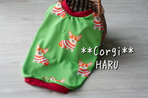 Corgi󥯥ȥåסʥֿƼ