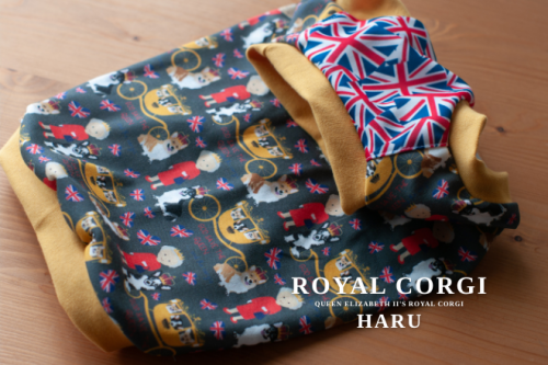 ROYALʥ㥳ϡ˥ֿƼ