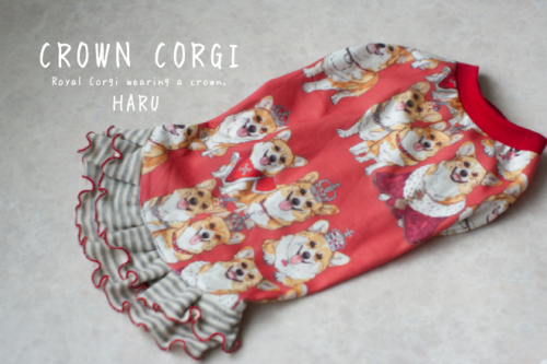 CROWNCORGIեʥֿƼ
