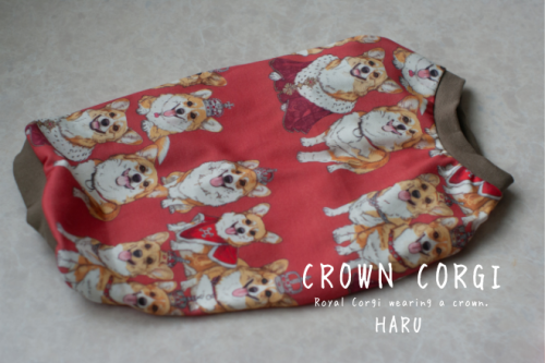 CROWNʥֿƼ