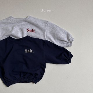 2023AW【digreen】salt刺繍トレーナー /* (N07)★