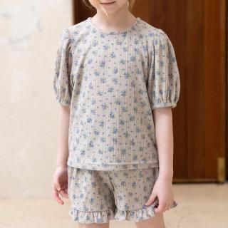 2025s1perrobebe1 2colorڡåȥå   /*(E04)