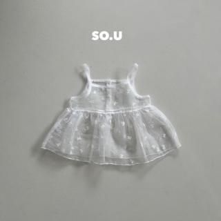 2025s2sou10 ܥɽӥ /*(H05)
