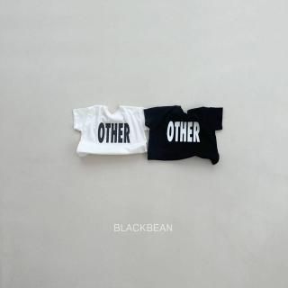 2025s2BLACKBEAN17 other T /* (H05)