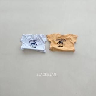 2025s2BLACKBEAN18 åT /* (H05)