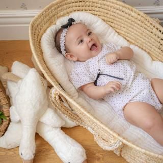 <img class='new_mark_img1' src='https://img.shop-pro.jp/img/new/icons13.gif' style='border:none;display:inline;margin:0px;padding:0px;width:auto;' />2025s21gram15 2colorʥ꡼Хͥåȥ /* (H06)